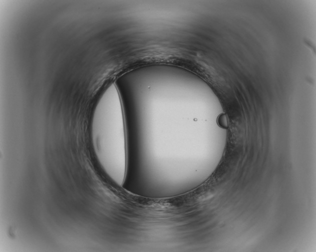 X0000096150642200801180830