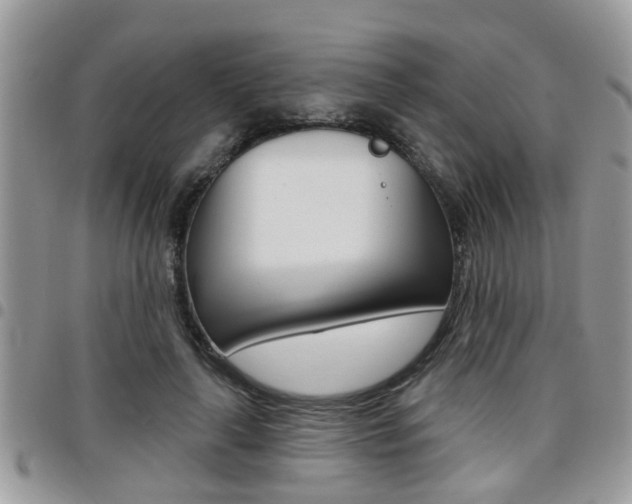 X0000096150643200801180830