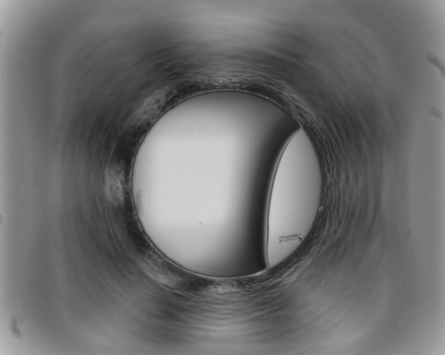 X0000096150644200801180830