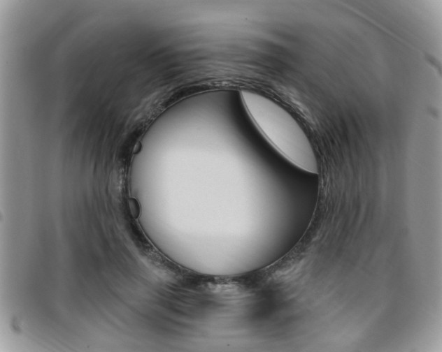 X0000096150645200801180830