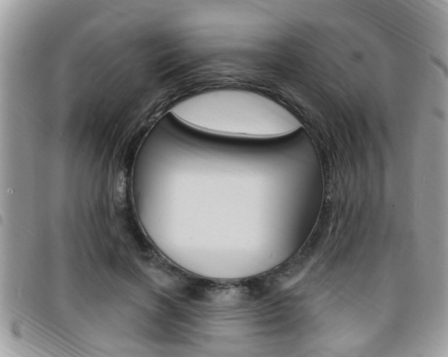 X0000096150646200801180830