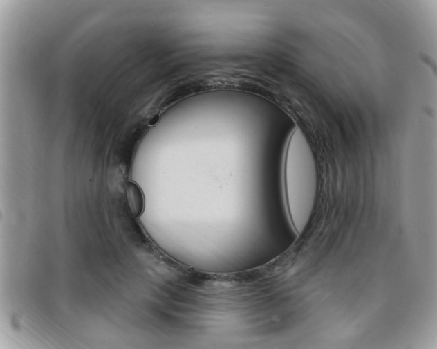 X0000096150649200801180830