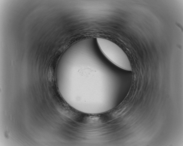 X0000096150651200801180830