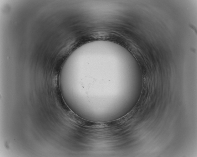 X0000096150652200801180830