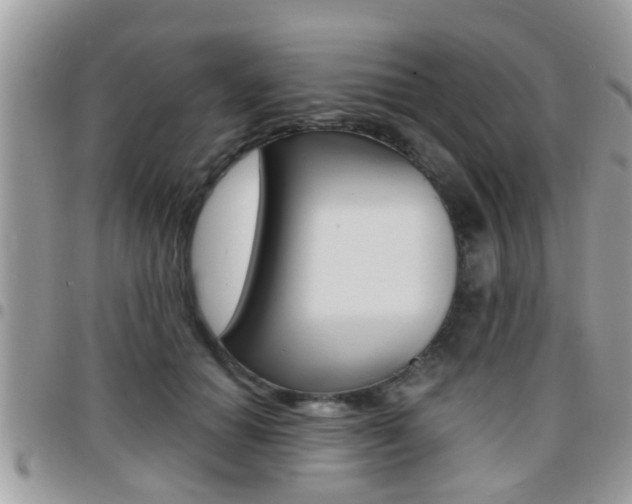 X0000096150654200801180830