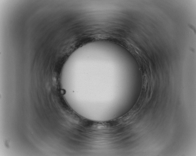 X0000096150655200801180830