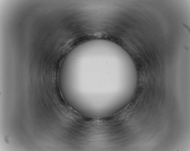 X0000096150656200801180830