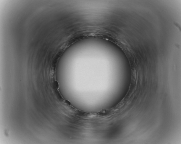 X0000096150657200801180830