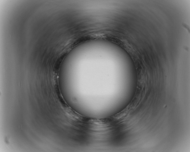 X0000096150658200801180830
