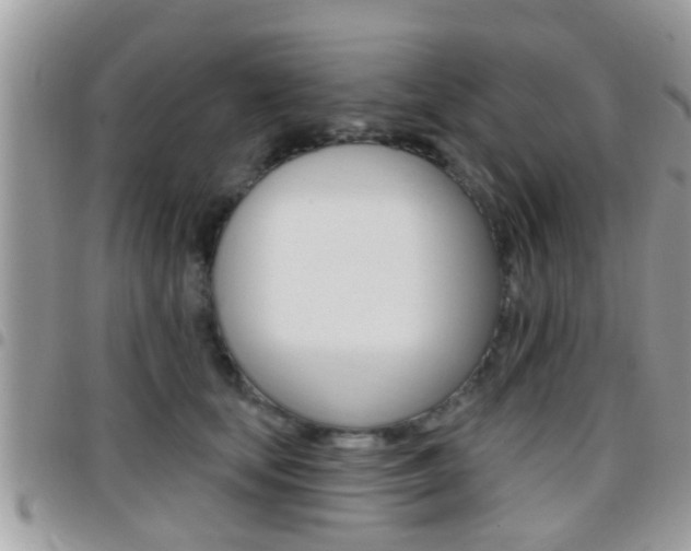 X0000096150659200801180830