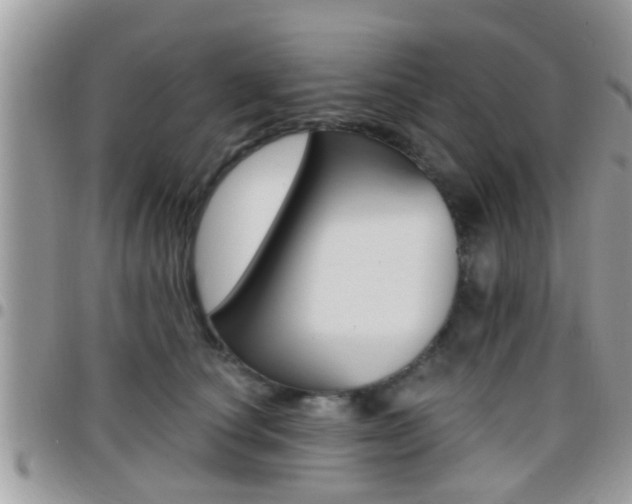 X0000096150660200801180830
