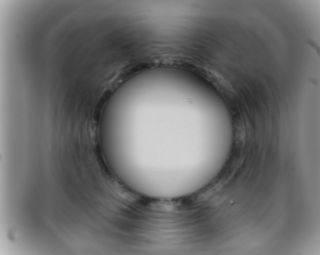 X0000096150661200801180830