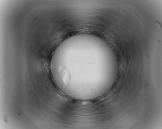 X0000096150663200801180830