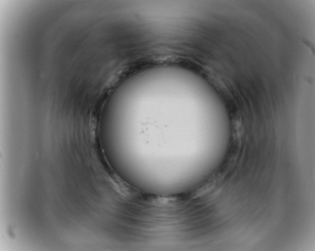 X0000096150664200801180830