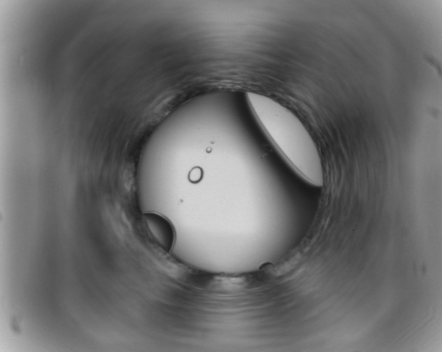 X0000096150665200801180831
