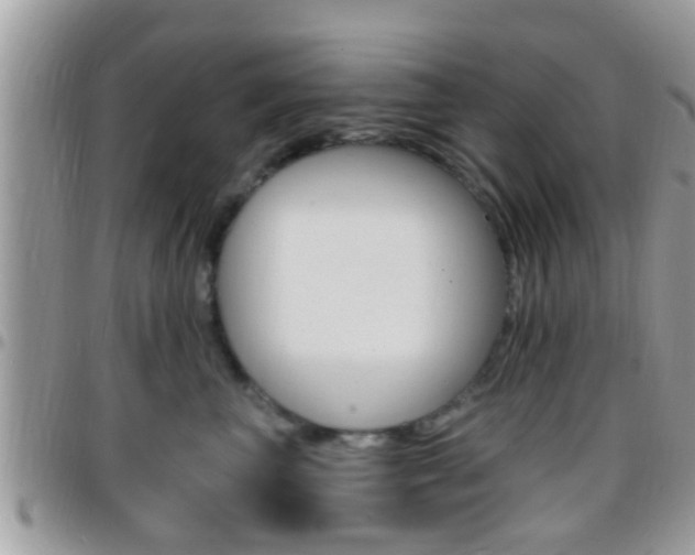 X0000096150667200801180831
