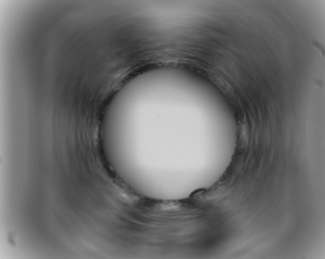 X0000096150668200801180831