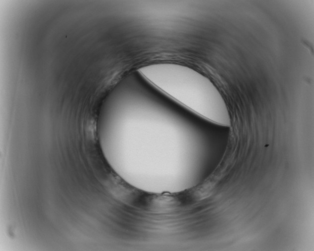 X0000096150669200801180831