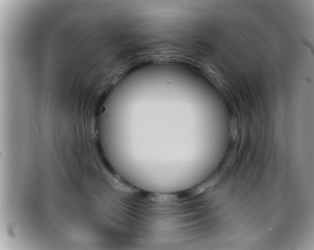 X0000096150670200801180831