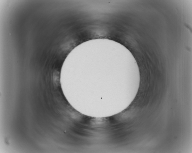 X0000096150672200801180831