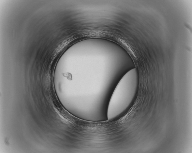 X0000096150674200801180830