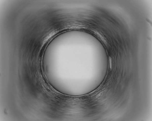 X0000096150675200801180830