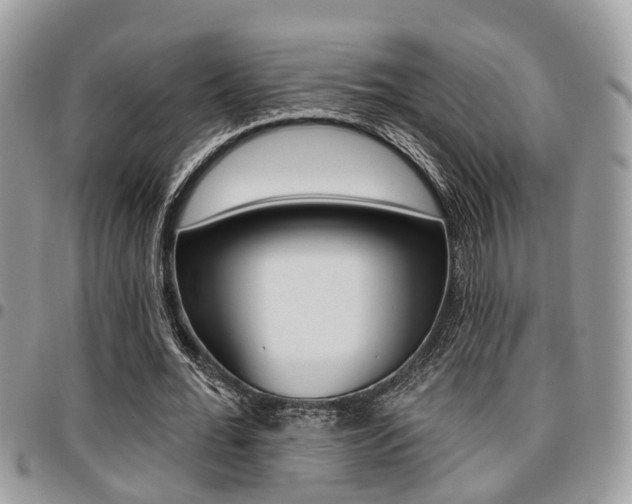 X0000096150676200801180830