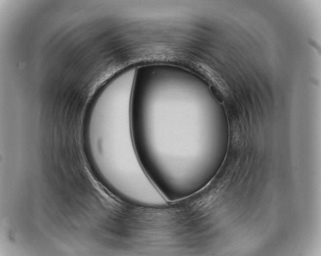 X0000096150677200801180830