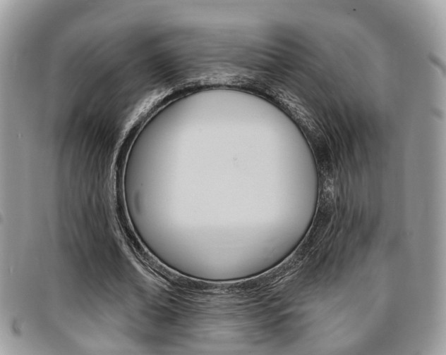 X0000096150678200801180830