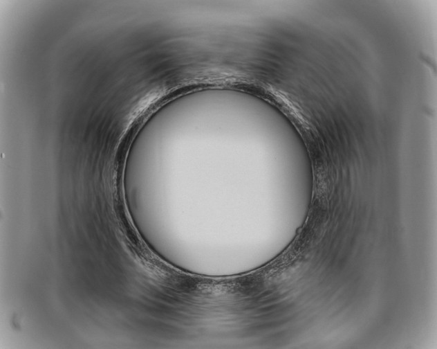 X0000096150679200801180830