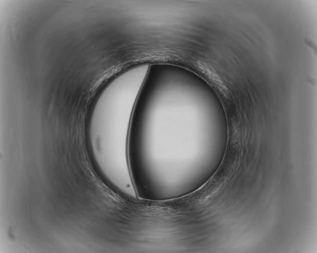 X0000096150681200801180830