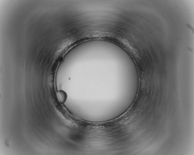 X0000096150683200801180830