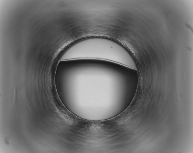 X0000096150684200801180830