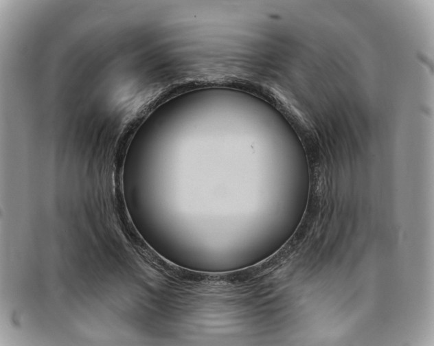 X0000096150685200801180830