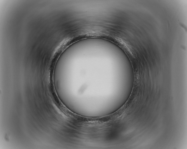 X0000096150686200801180830