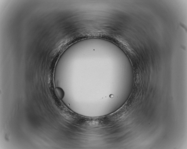 X0000096150687200801180830