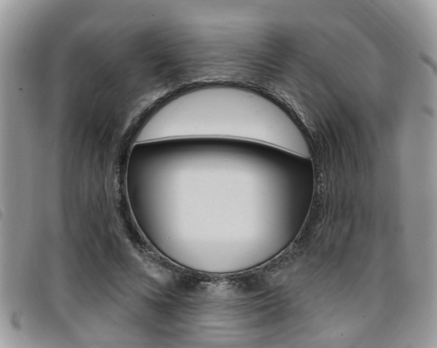 X0000096150688200801180830