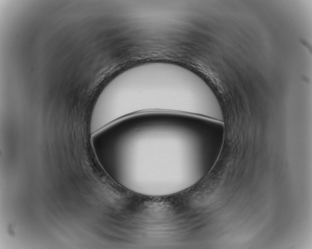 X0000096150689200801180830