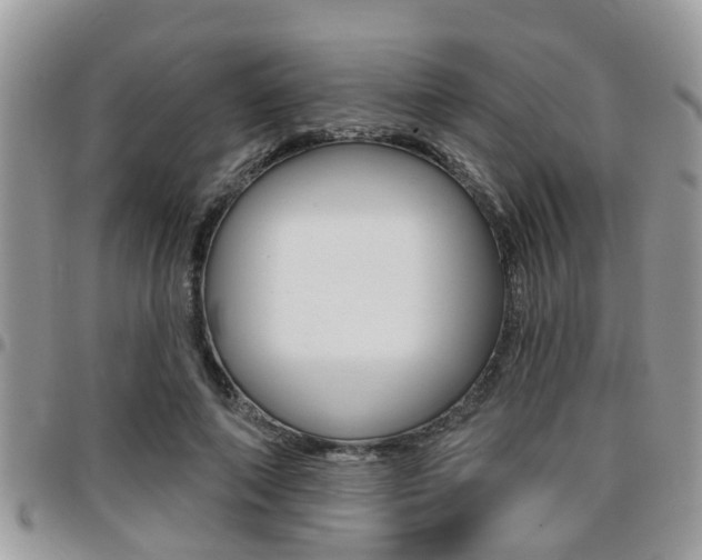 X0000096150690200801180830