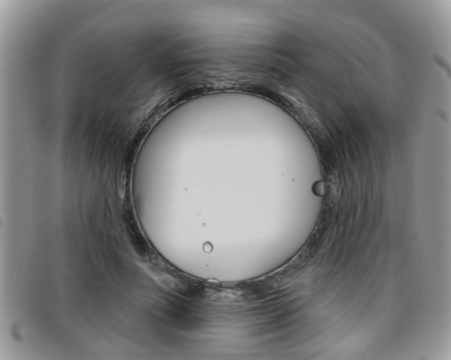 X0000096150691200801180830