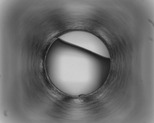 X0000096150692200801180830