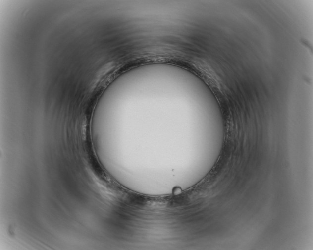 X0000096150694200801180830