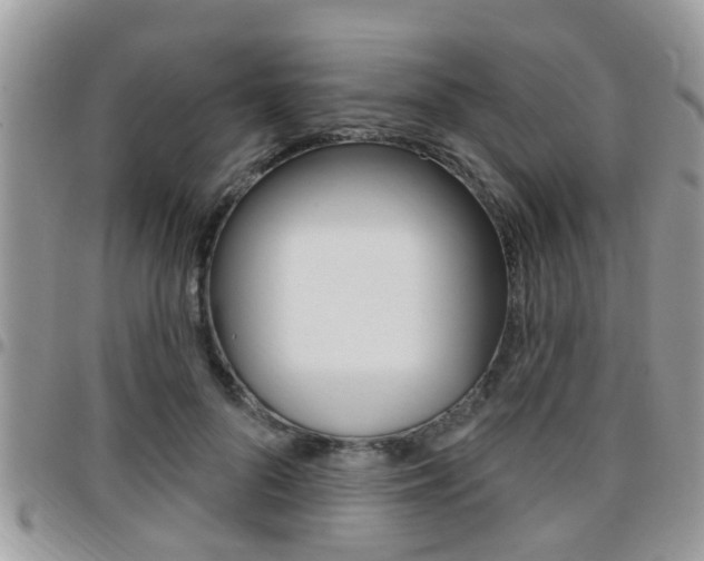 X0000096150696200801180829