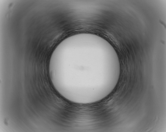 X0000096150697200801180829