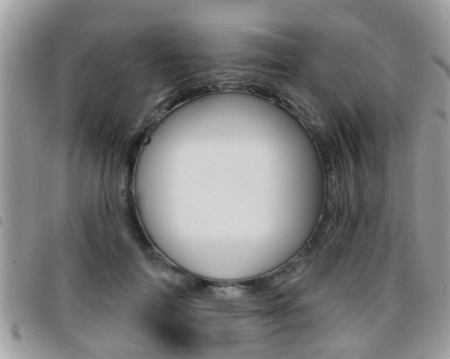 X0000096150698200801180829