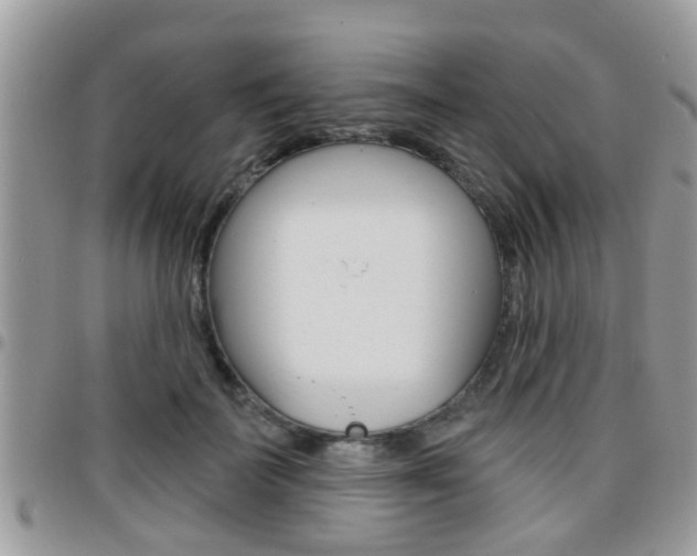 X0000096150699200801180829