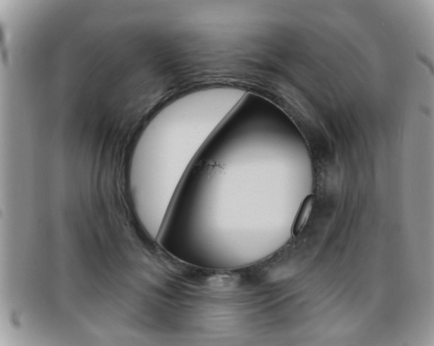 X0000096150700200801180829