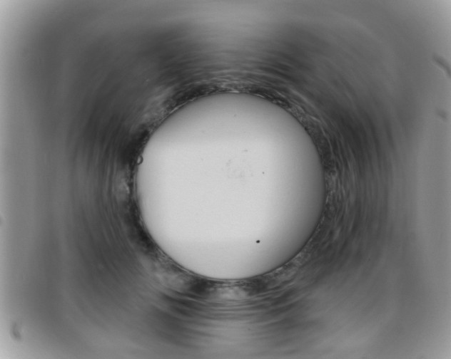 X0000096150702200801180829
