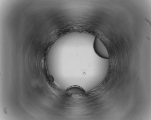 X0000096150703200801180829