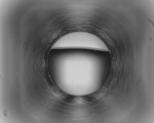X0000096150704200801180829